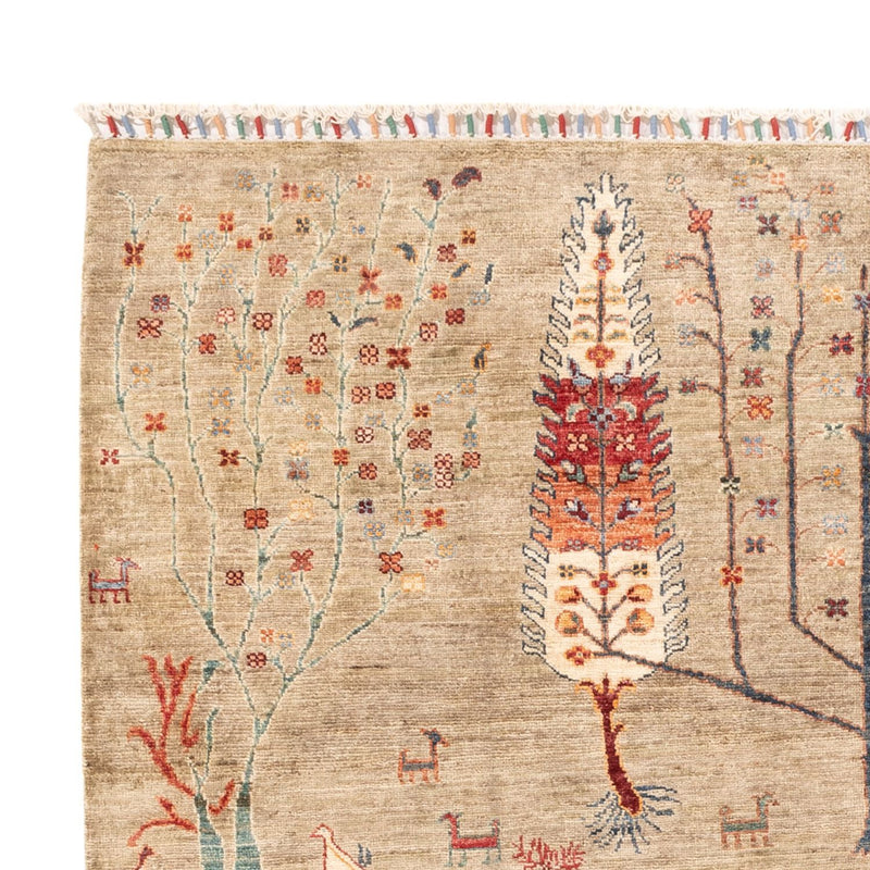 Ziegler Carpet - Ariana - 237 x 172 cm - lysegrå