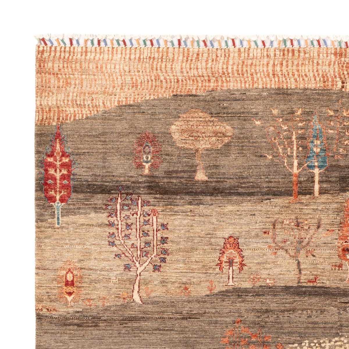 Ziegler Carpet - Ariana - 215 x 171 cm - mørk beige