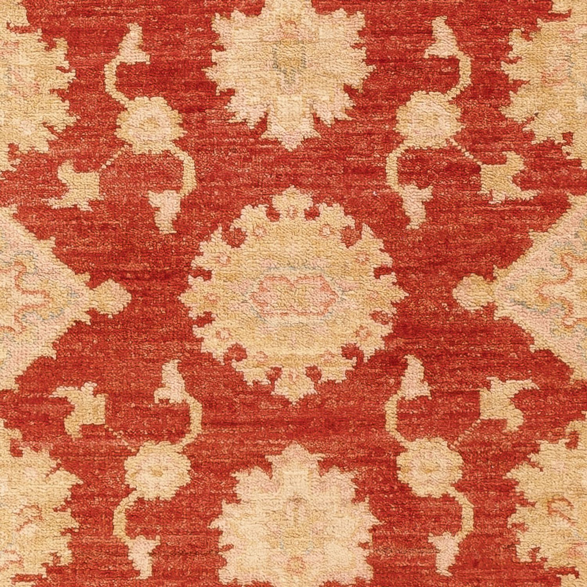 Løber Ziegler Carpet - 197 x 87 cm - rød