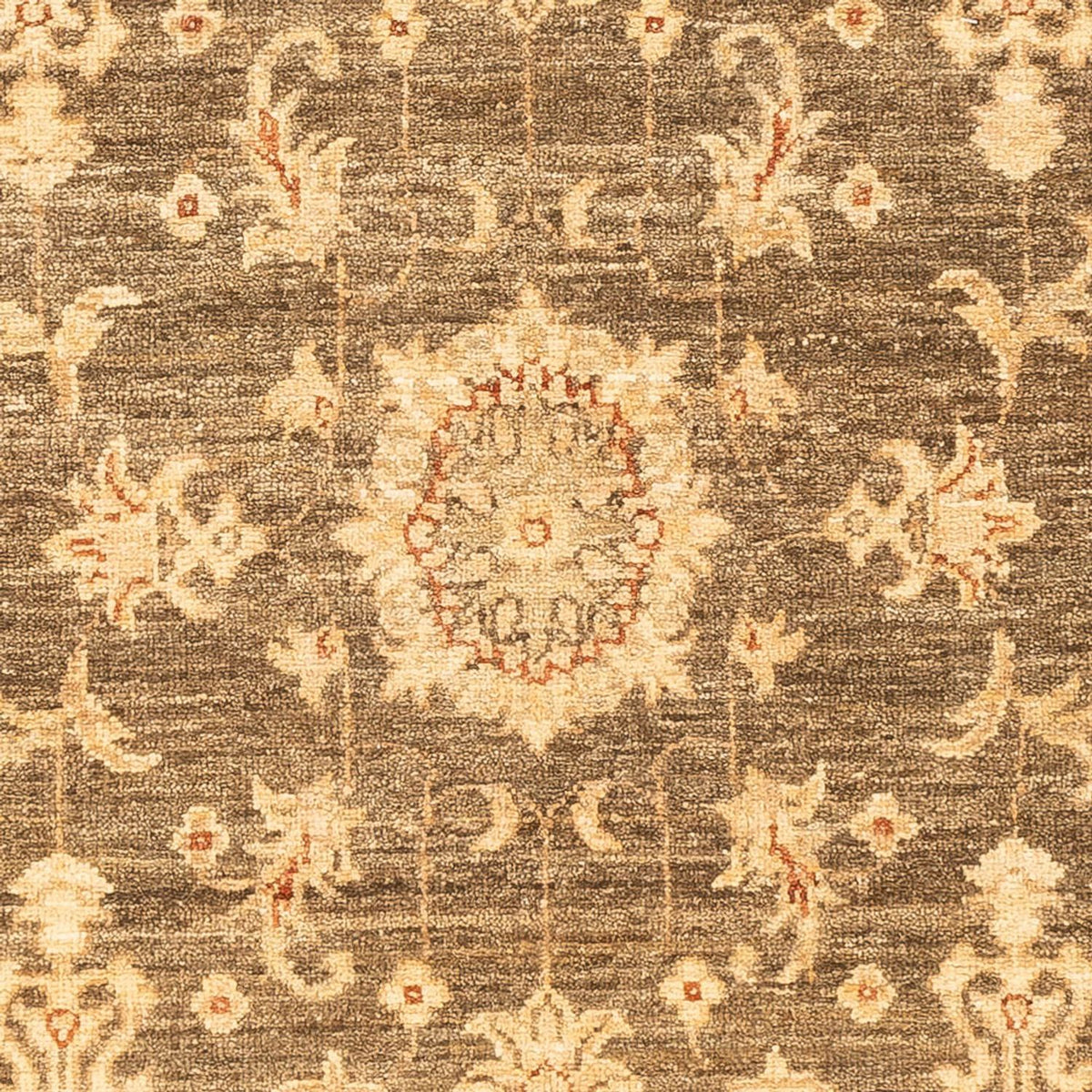 Løber Ziegler Carpet - 213 x 80 cm - olivengrøn