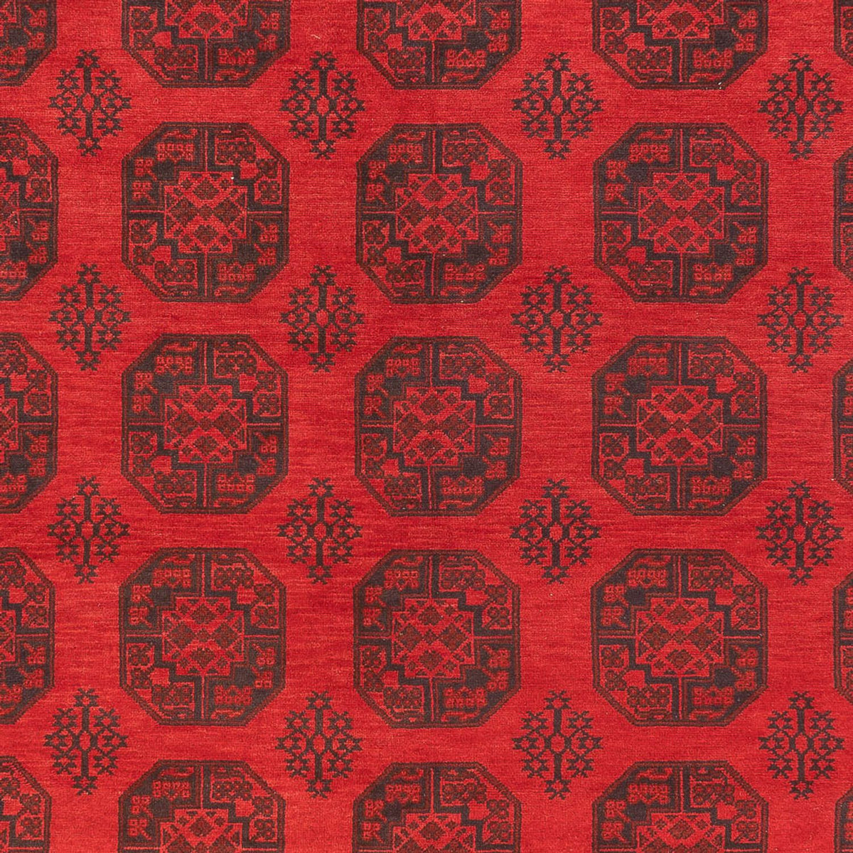 Afghansk tæppe - Filpa - 401 x 309 cm - rød