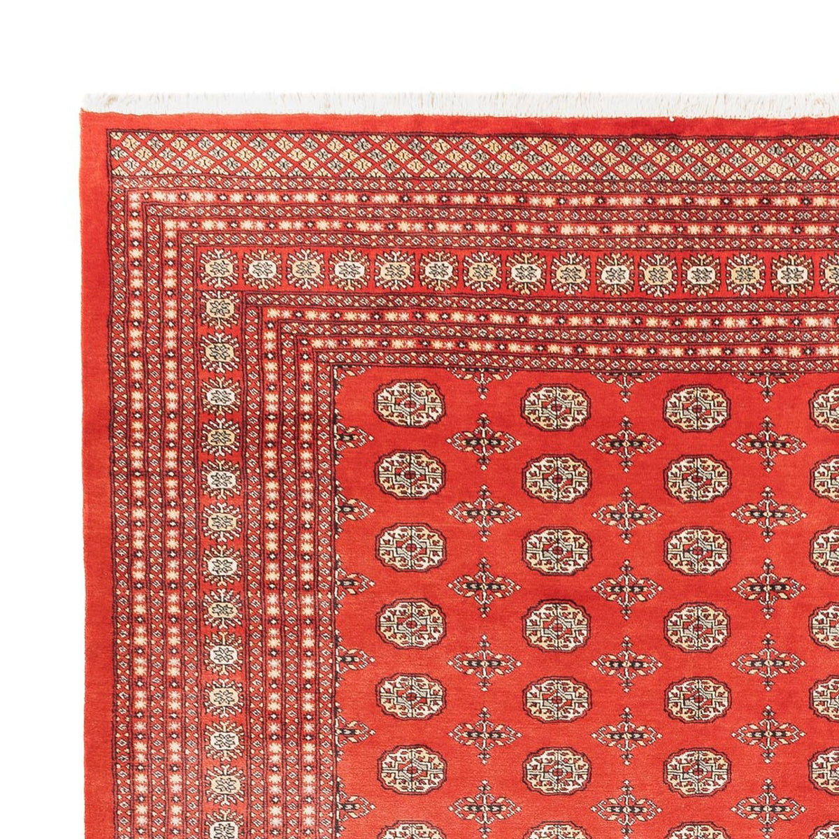 Afghansk tæppe - Bukhara - 401 x 311 cm - lysrød