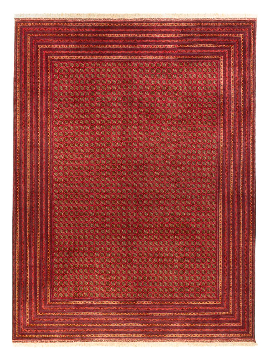 Afghansk tæppe - Royal - 389 x 295 cm - rust