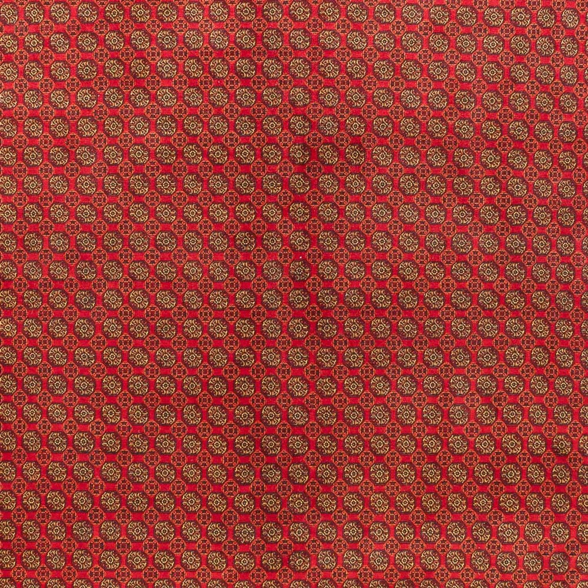 Afghansk tæppe - Royal - 389 x 295 cm - rust