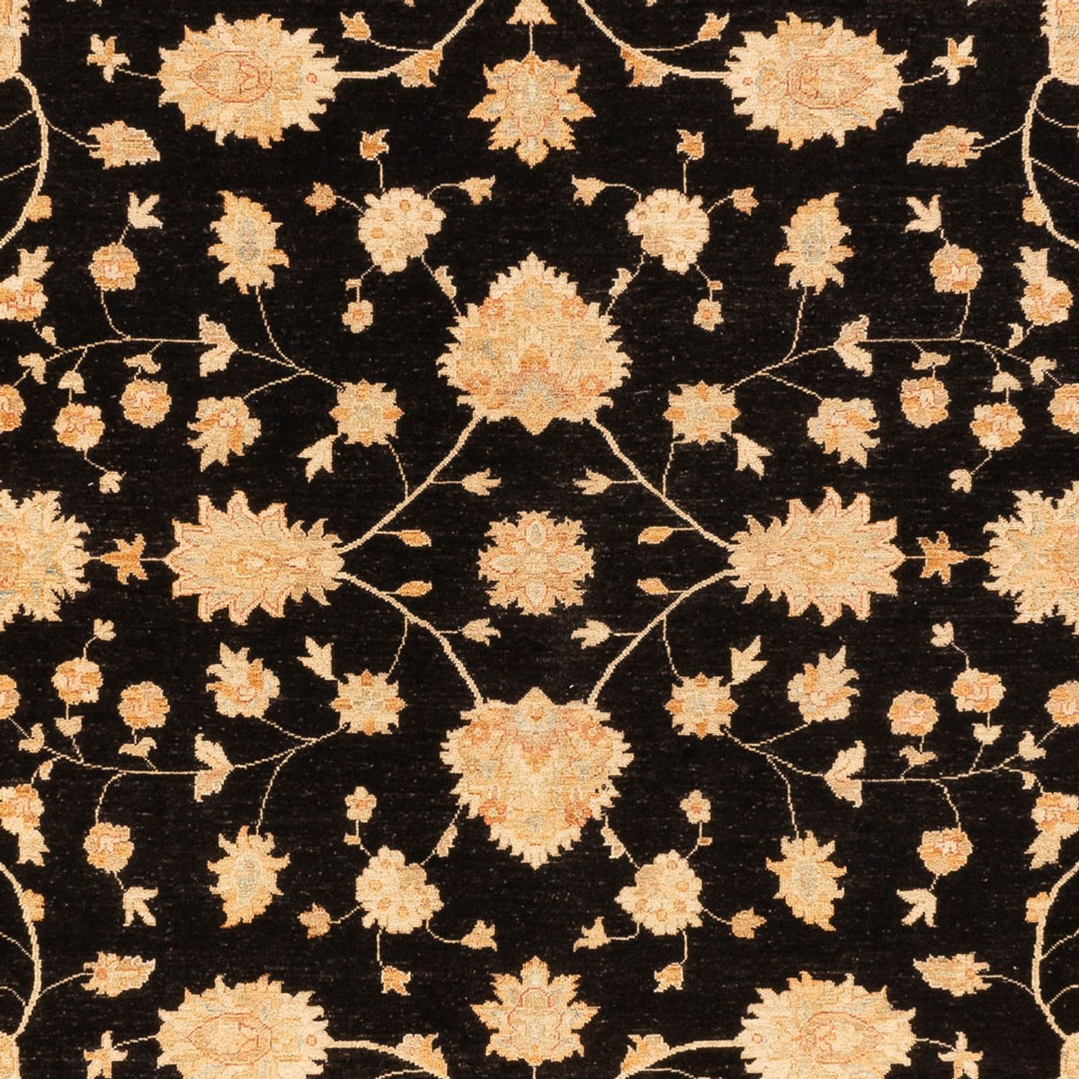 Ziegler Carpet - 392 x 304 cm - sort