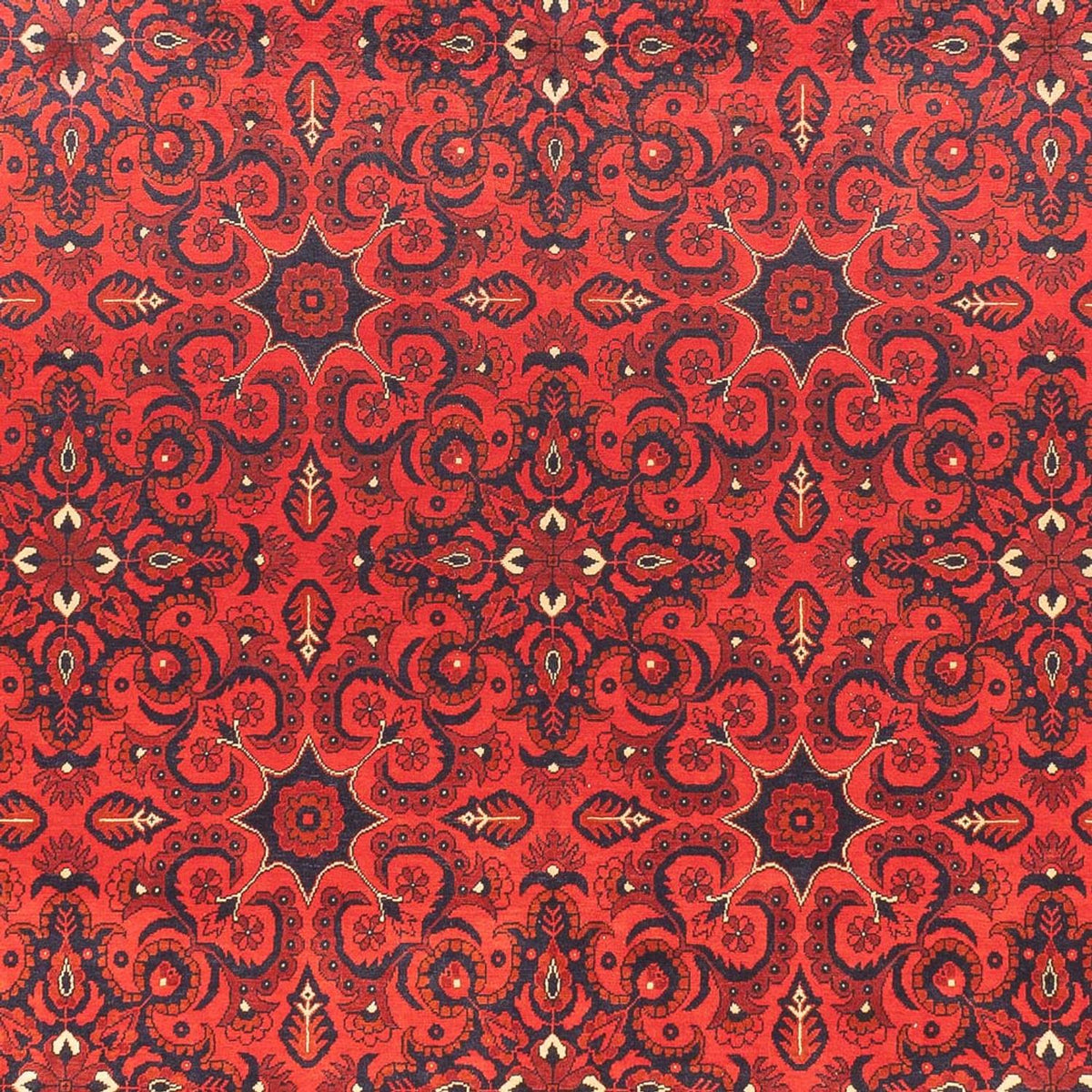 Afghansk tæppe - Kunduz - 379 x 297 cm - rød