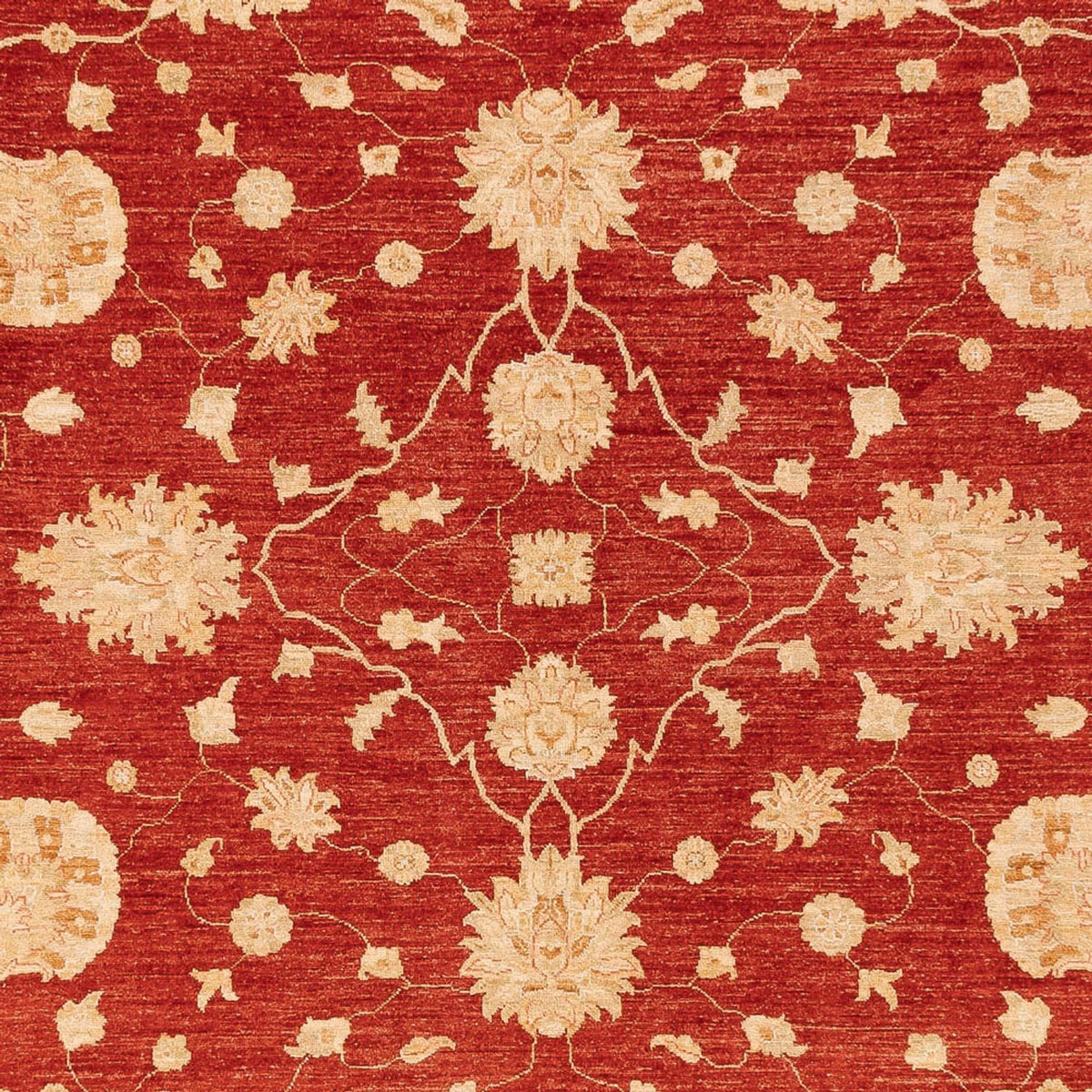 Ziegler Carpet - 360 x 268 cm - rød