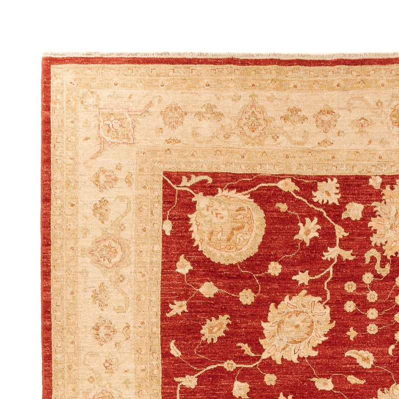 Ziegler Carpet - 360 x 268 cm - rød