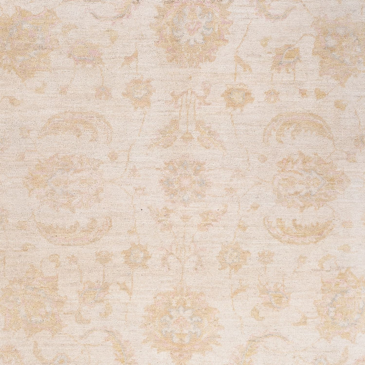 Ziegler Carpet - 240 x 162 cm - creme