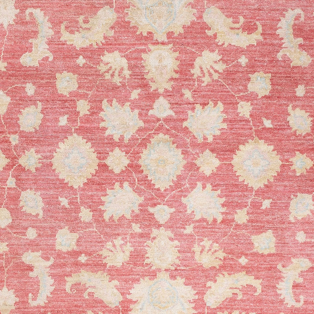 Ziegler Carpet - 245 x 175 cm - rød