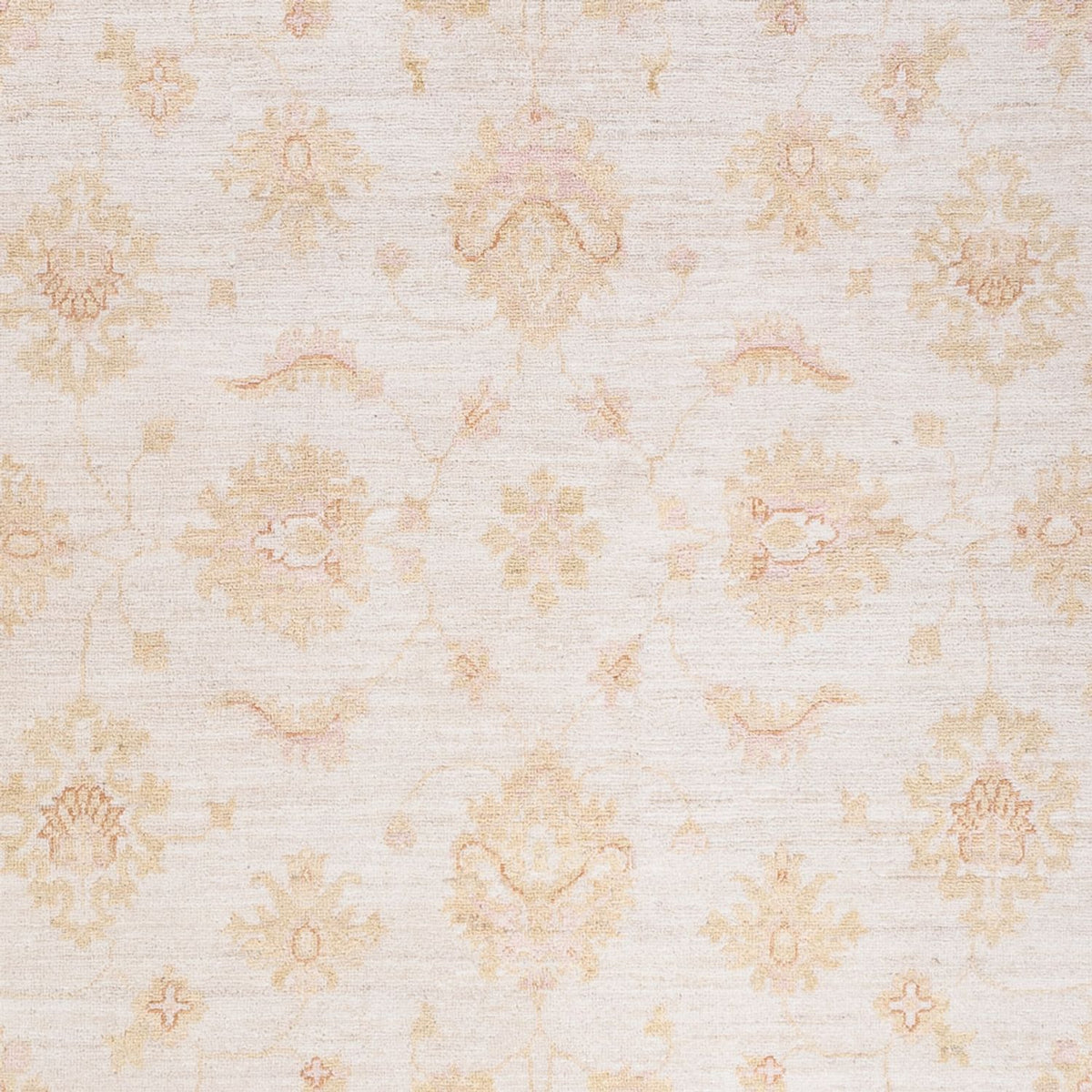 Ziegler Carpet - 248 x 175 cm - creme