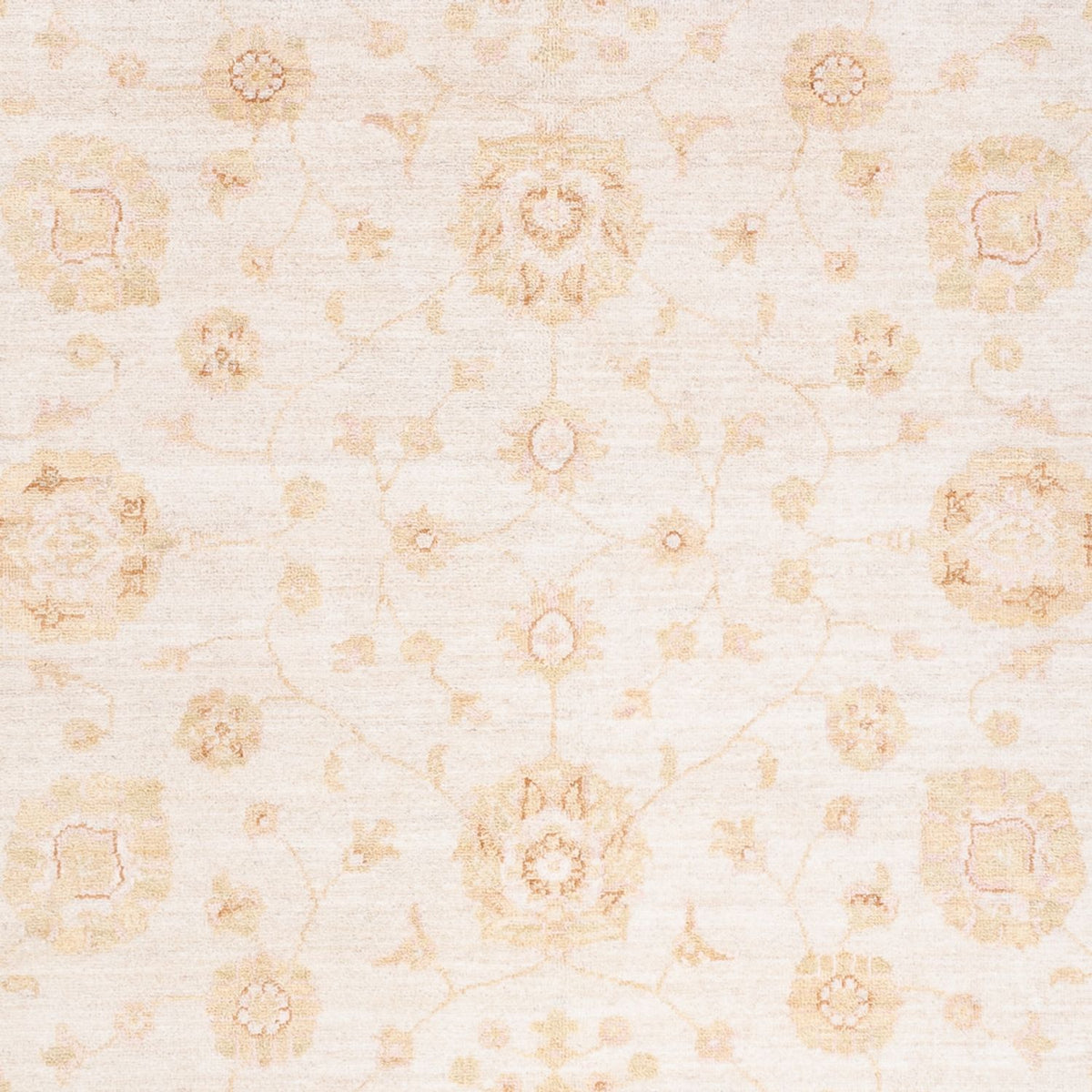 Ziegler Carpet - 240 x 171 cm - creme