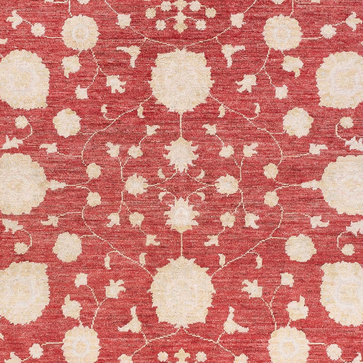 Ziegler Carpet - 240 x 175 cm - rød