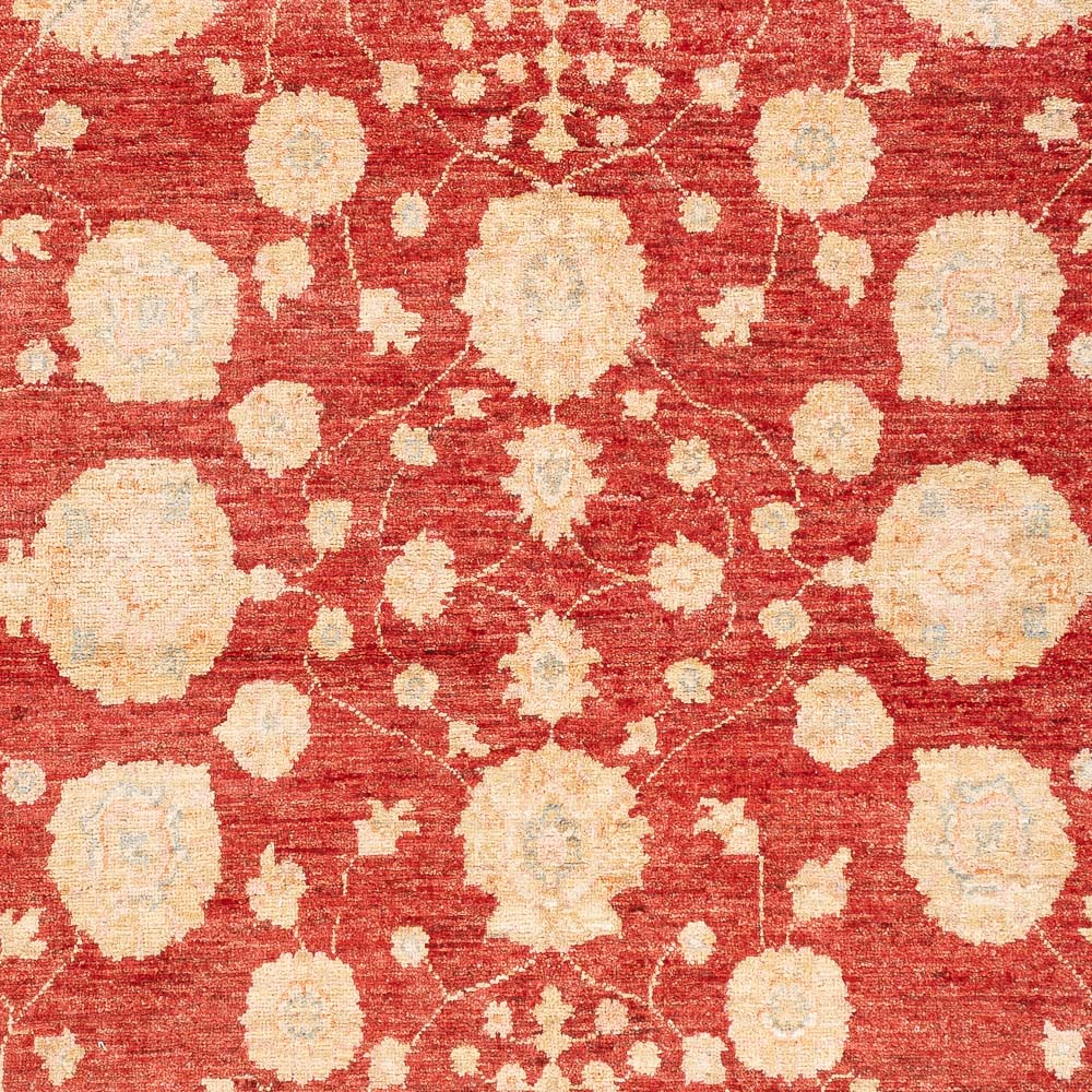 Ziegler Carpet - 210 x 152 cm - rød