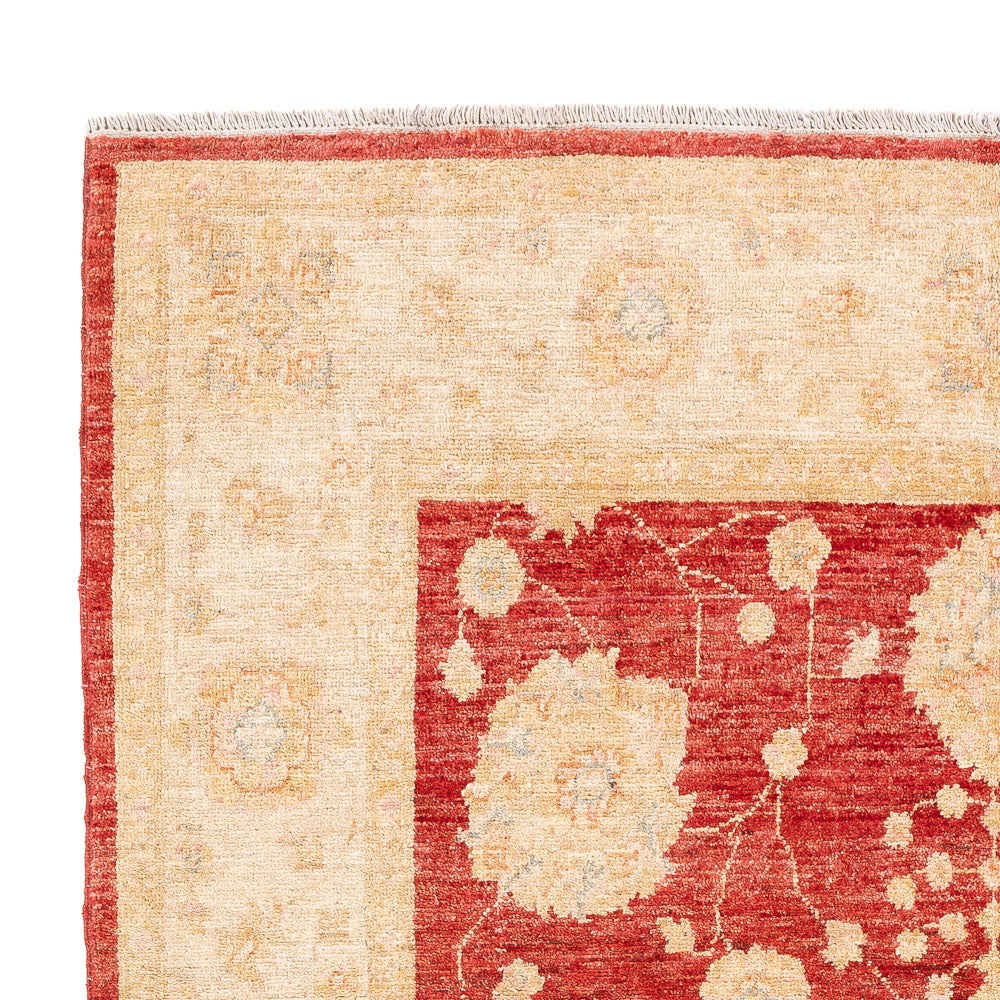 Ziegler Carpet - 210 x 152 cm - rød