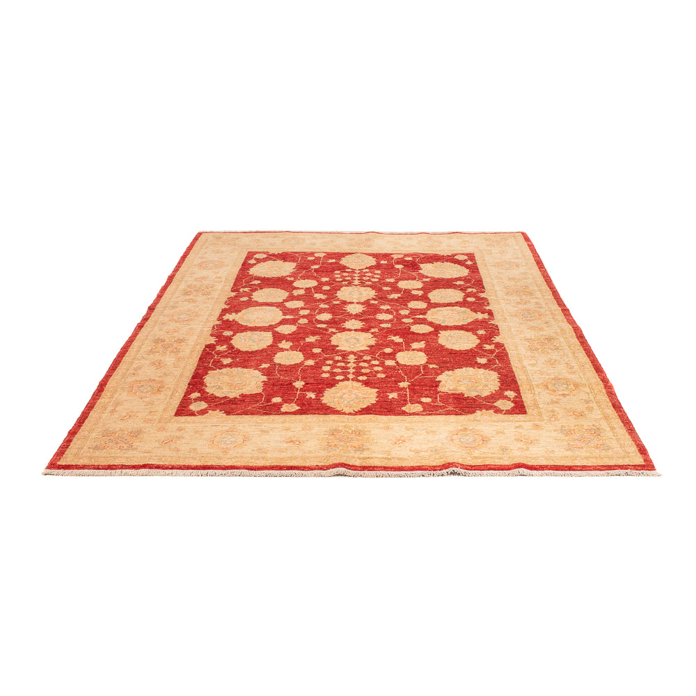 Ziegler Carpet - 210 x 152 cm - rød