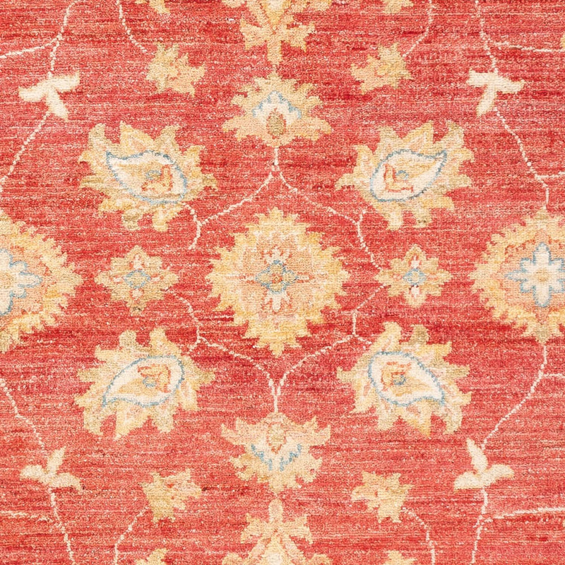 Ziegler Carpet - 180 x 127 cm - rød