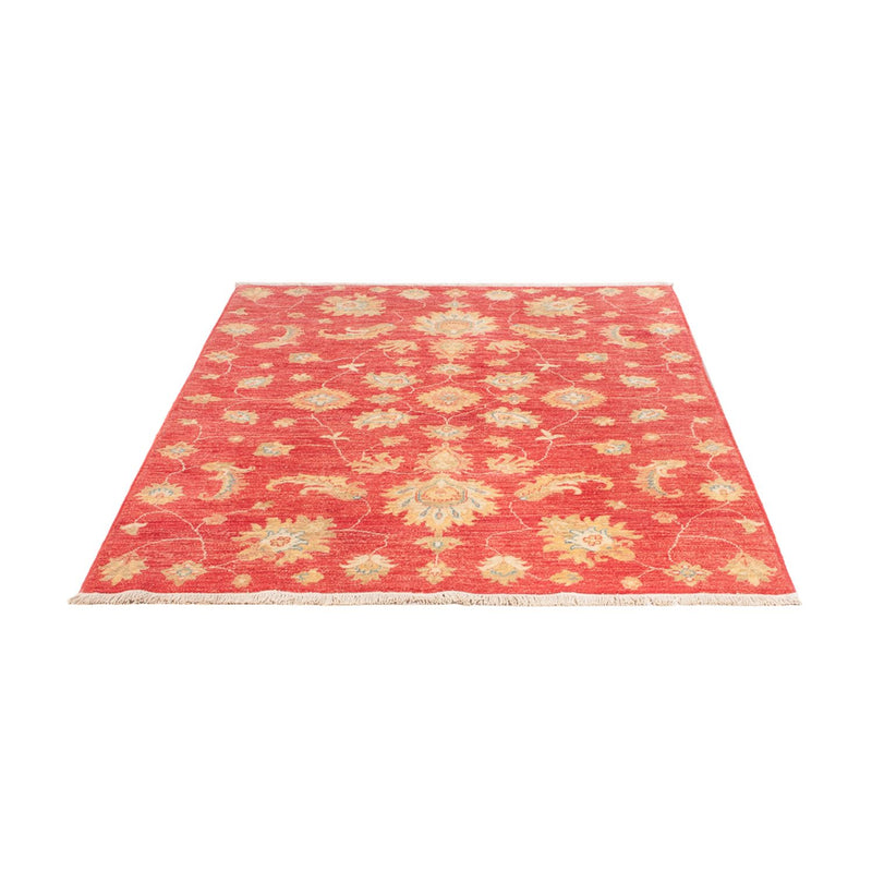 Ziegler Carpet - 180 x 127 cm - rød