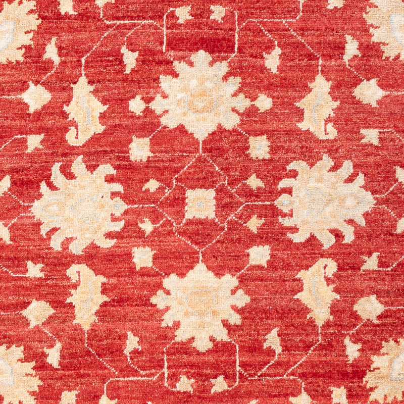Ziegler Carpet - 176 x 124 cm - rød
