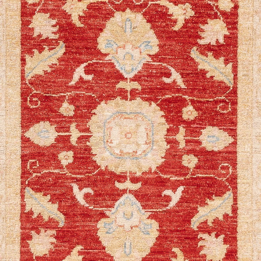 Løber Ziegler Carpet - 289 x 84 cm - rød