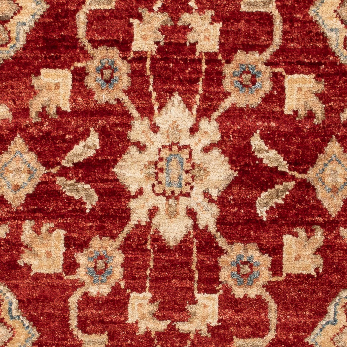 Ziegler Carpet - 114 x 70 cm - rød