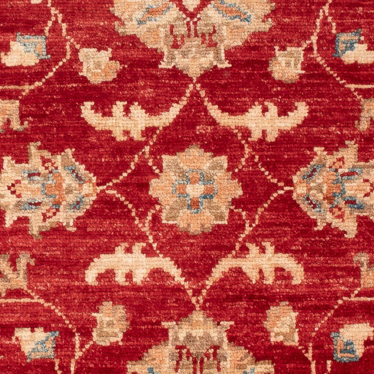 Ziegler Carpet - 101 x 70 cm - rød