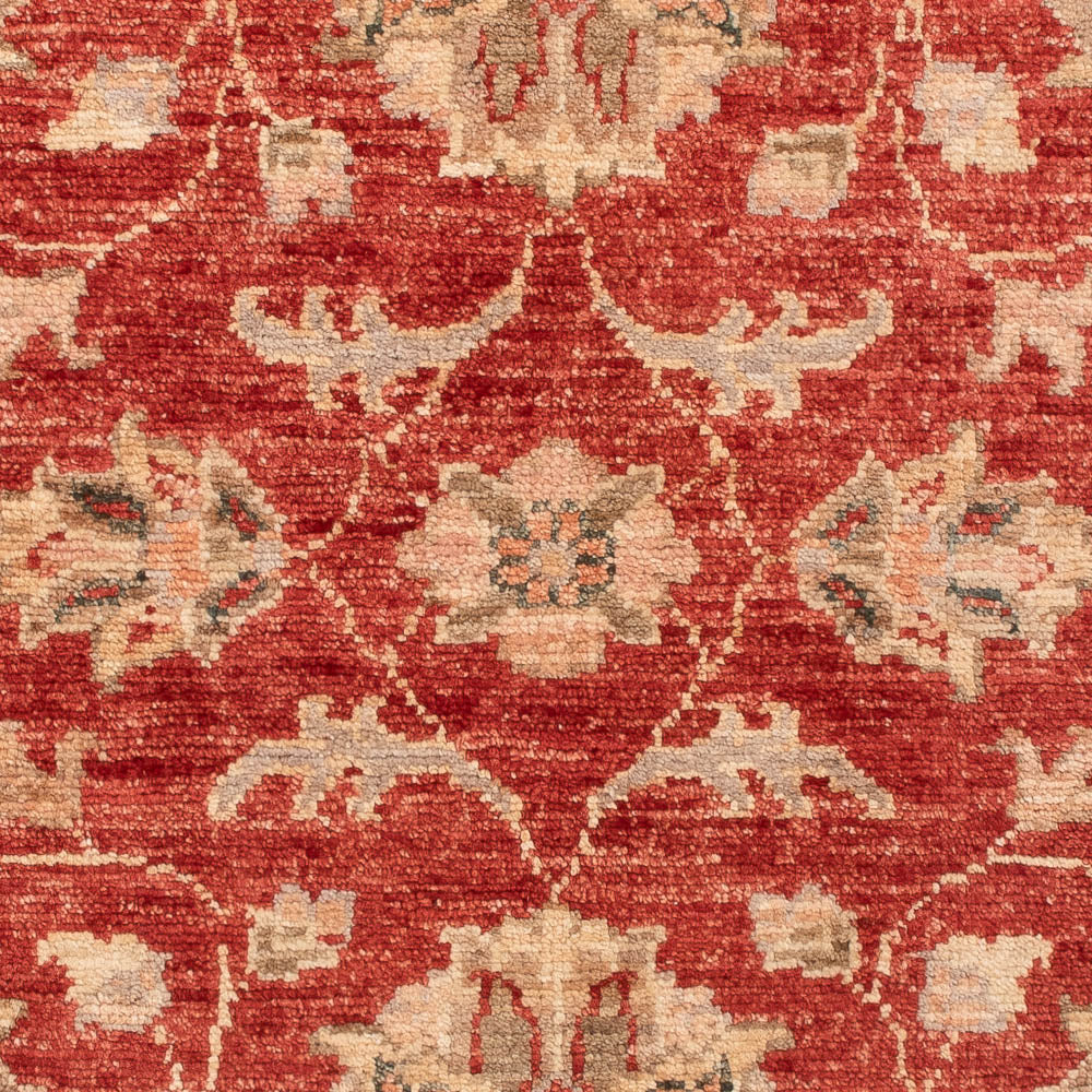 Ziegler Carpet - 122 x 82 cm - rød
