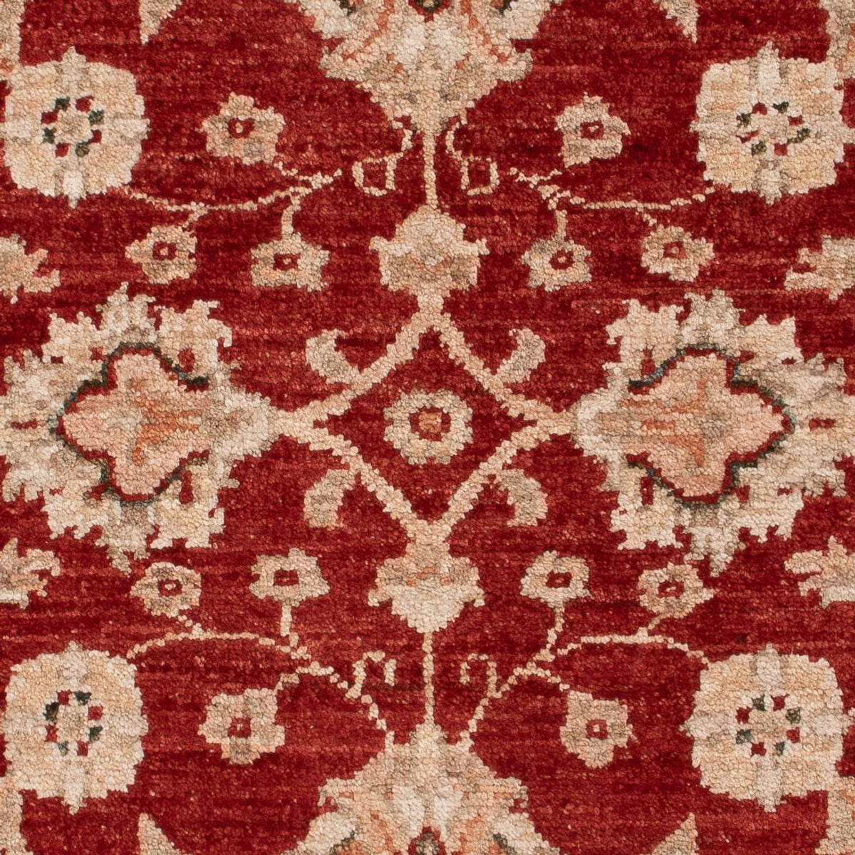 Ziegler Carpet - 122 x 84 cm - bordeaux rød