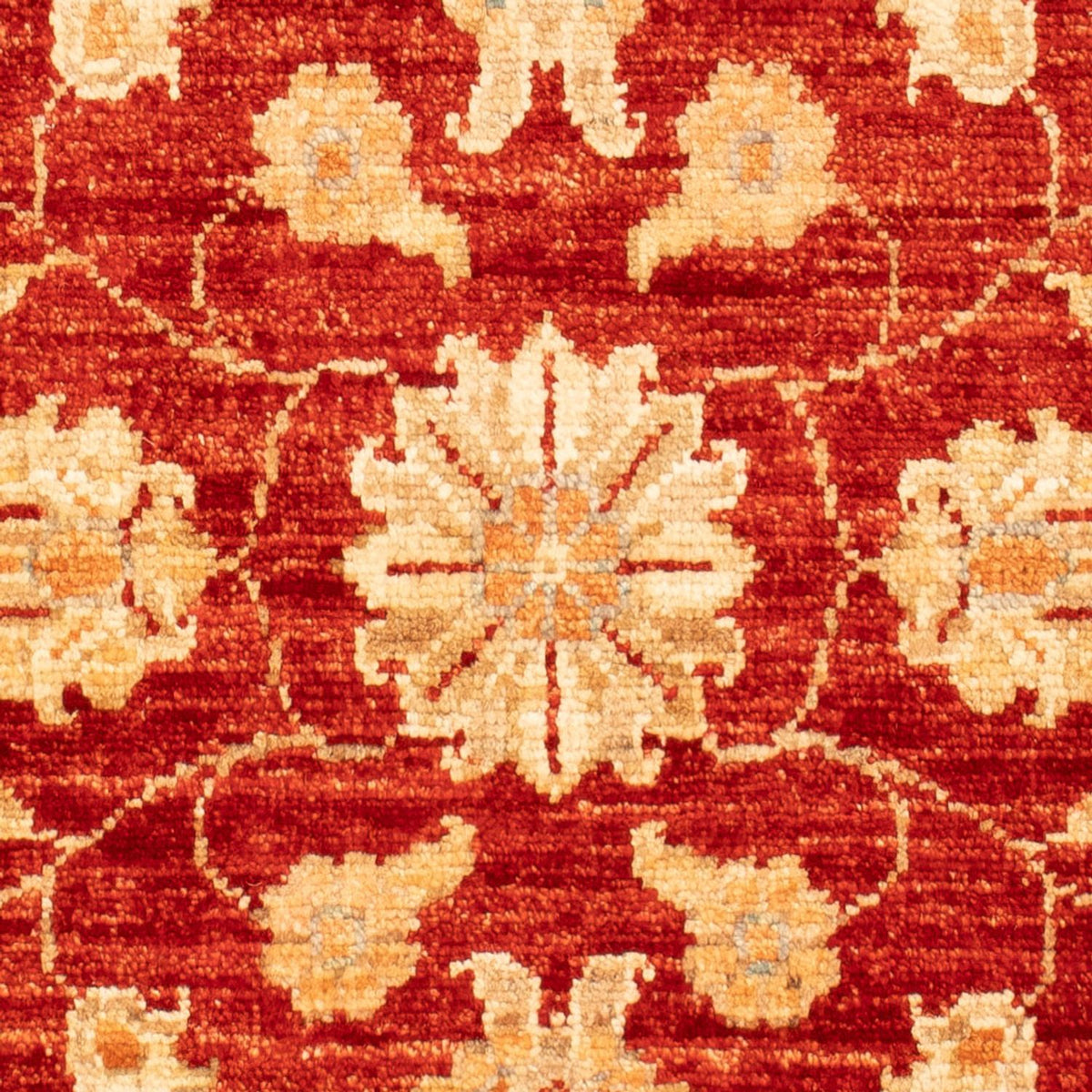Ziegler Carpet - 92 x 59 cm - rød