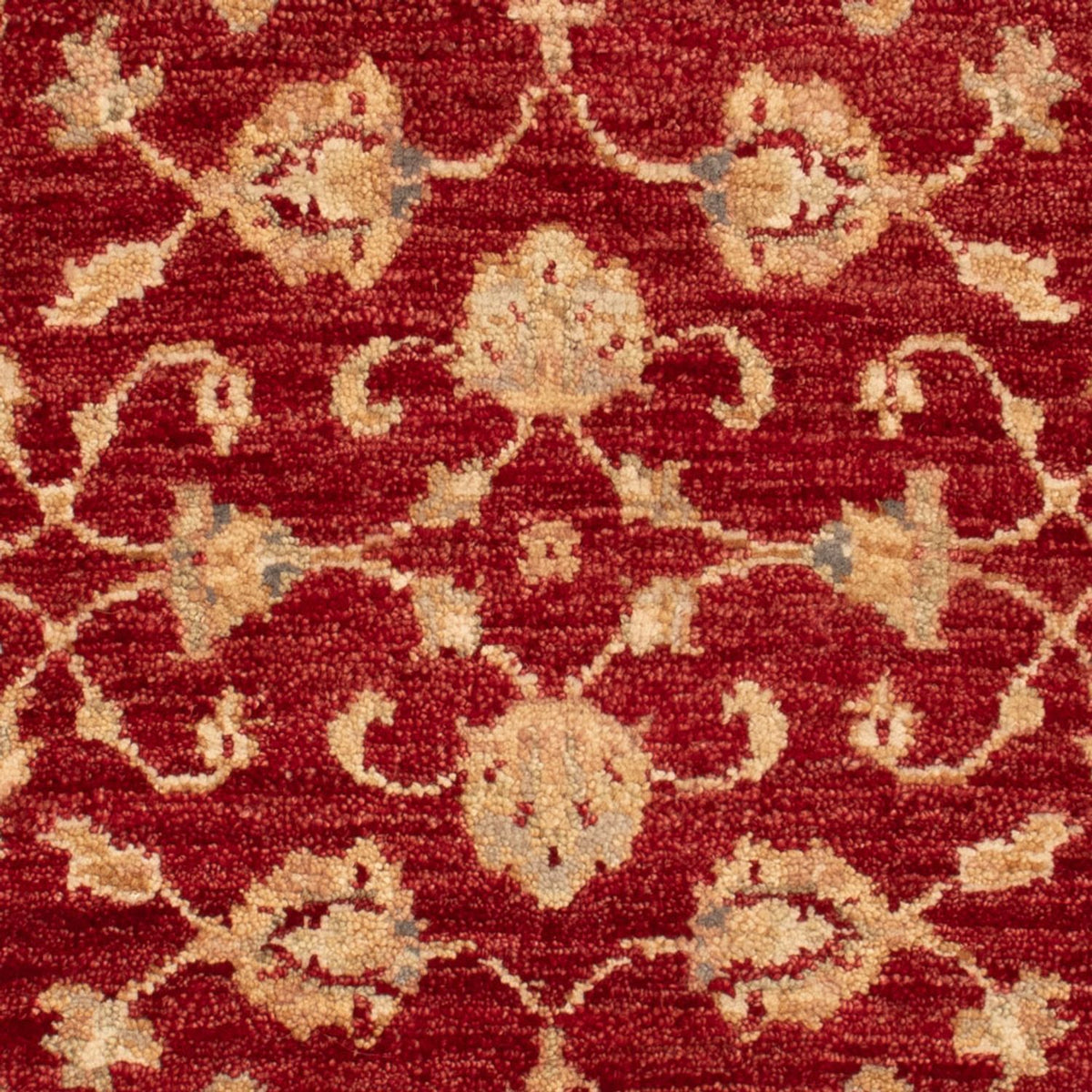 Ziegler Carpet - 90 x 60 cm - bordeaux rød