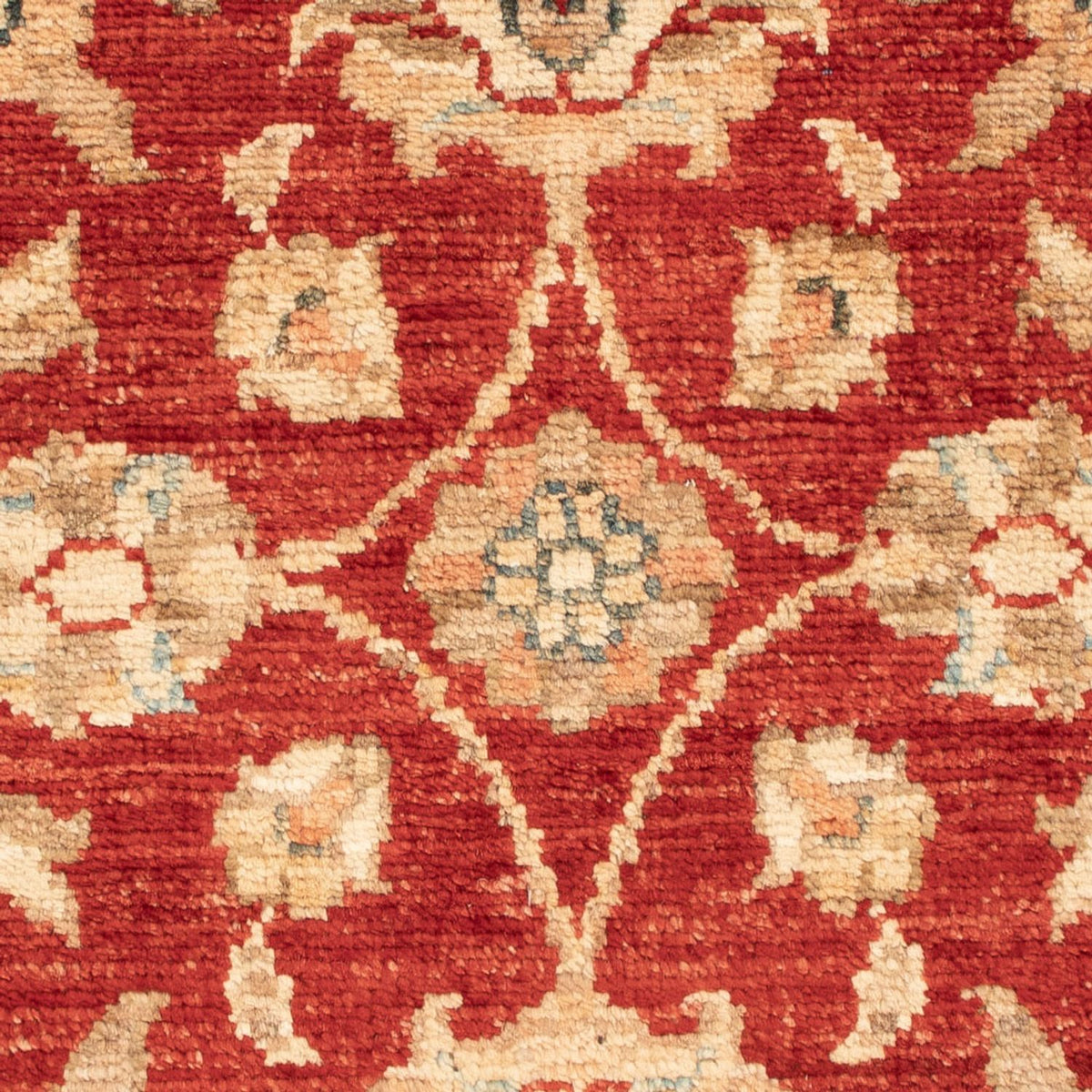 Ziegler Carpet - 70 x 51 cm - rød