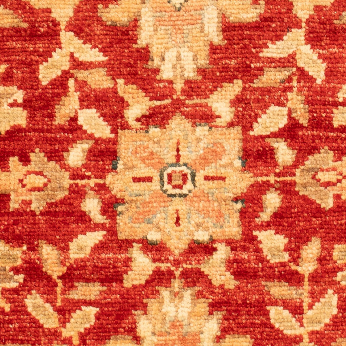 Ziegler Carpet - 68 x 51 cm - rød