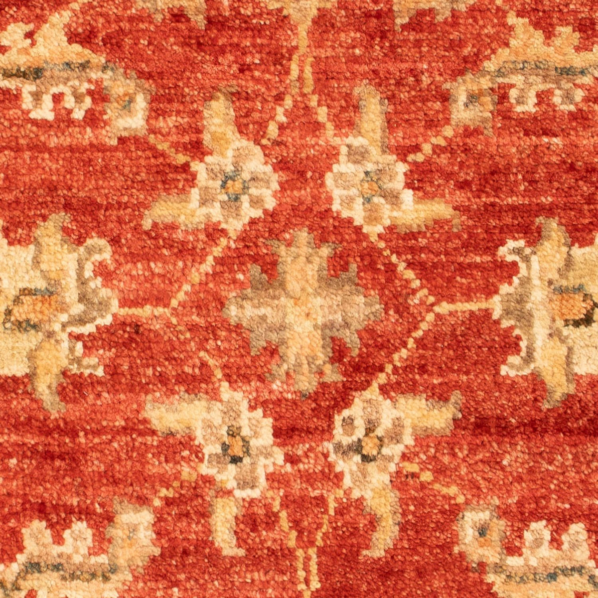 Ziegler Carpet - 70 x 50 cm - rød