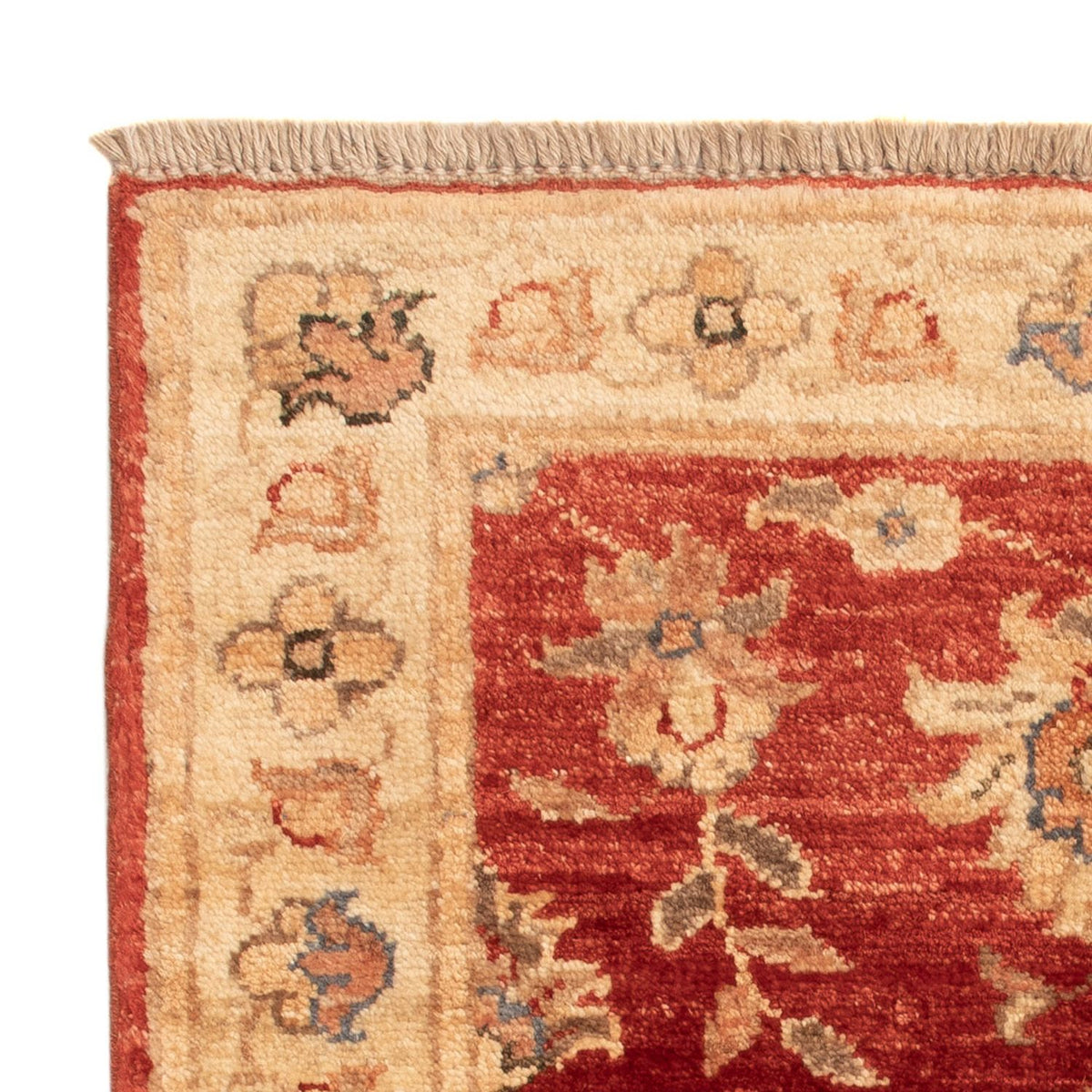 Ziegler Carpet - 63 x 52 cm - rød