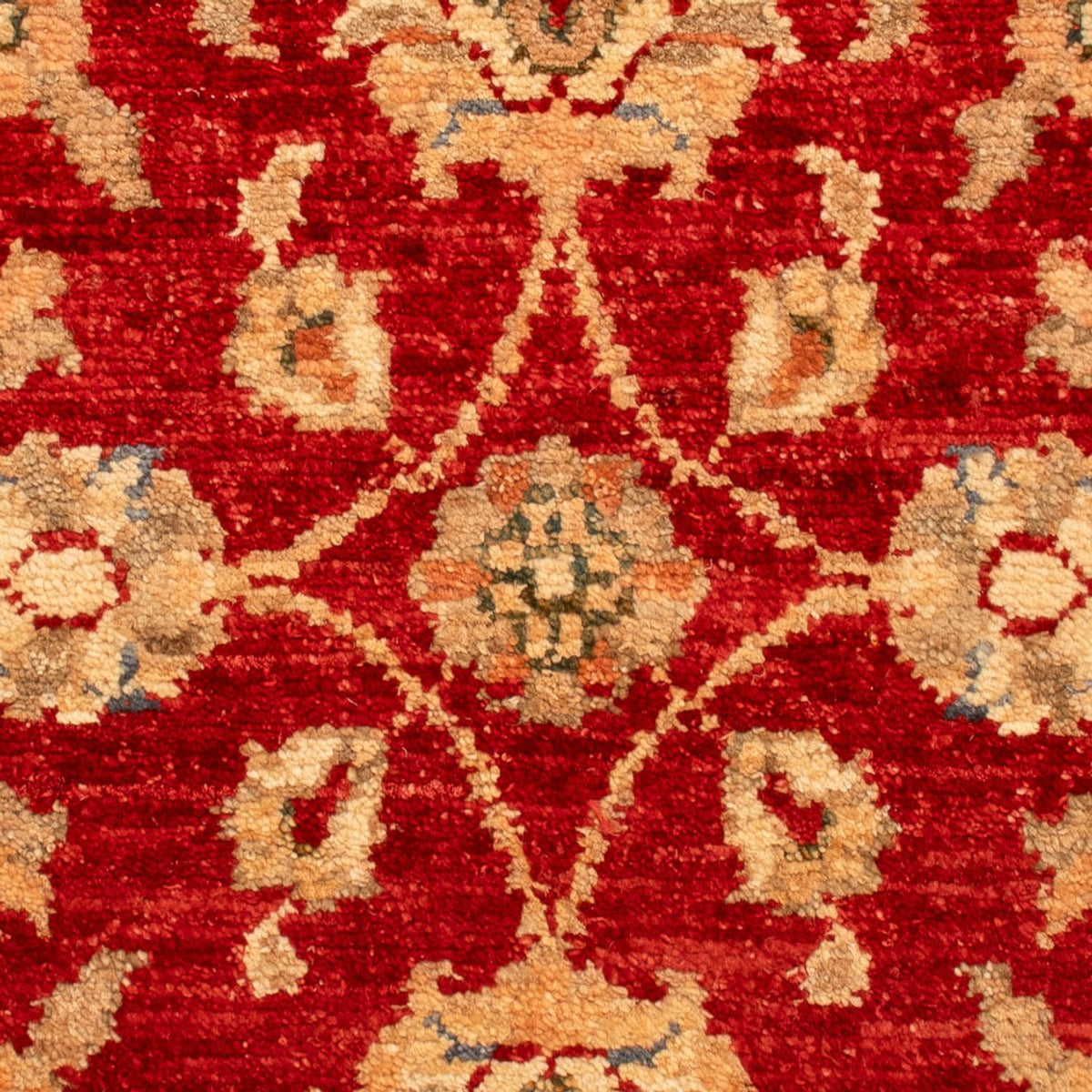 Ziegler Carpet - 71 x 49 cm - rød