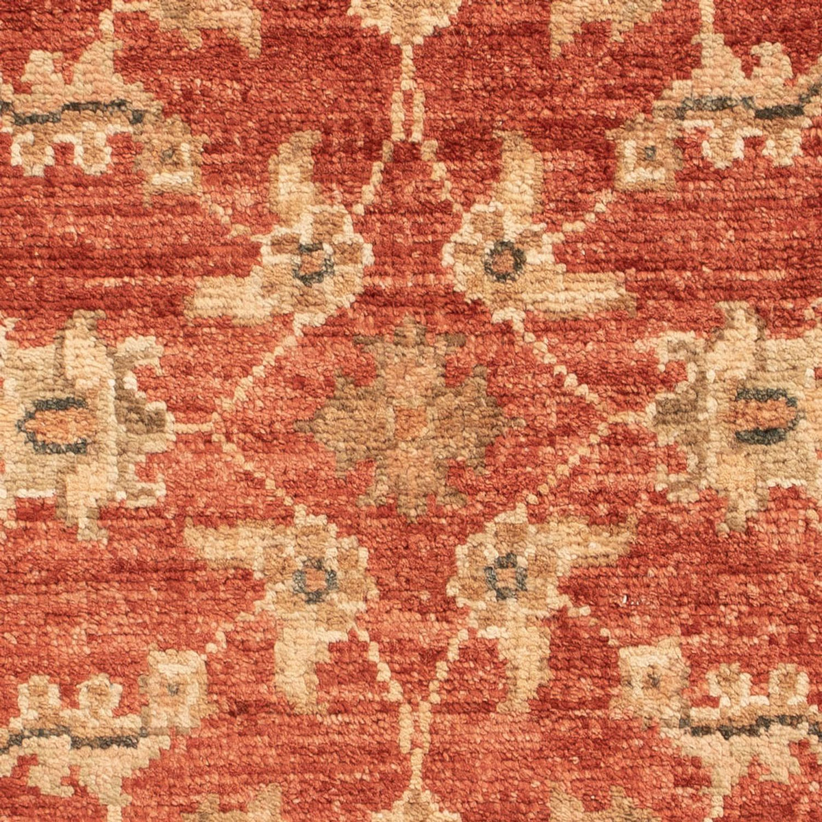 Ziegler Carpet - 72 x 51 cm - rød