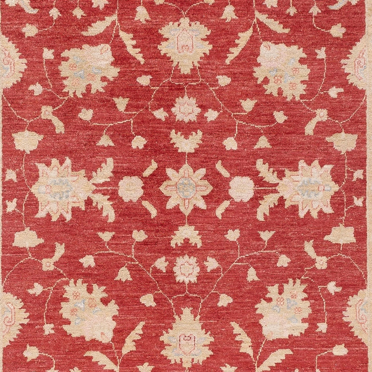 Løber Ziegler Carpet - 409 x 149 cm - rød