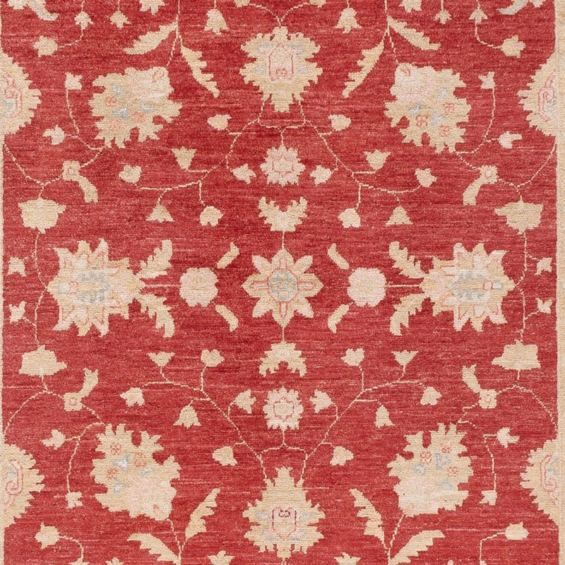 Løber Ziegler Carpet - 409 x 149 cm - rød