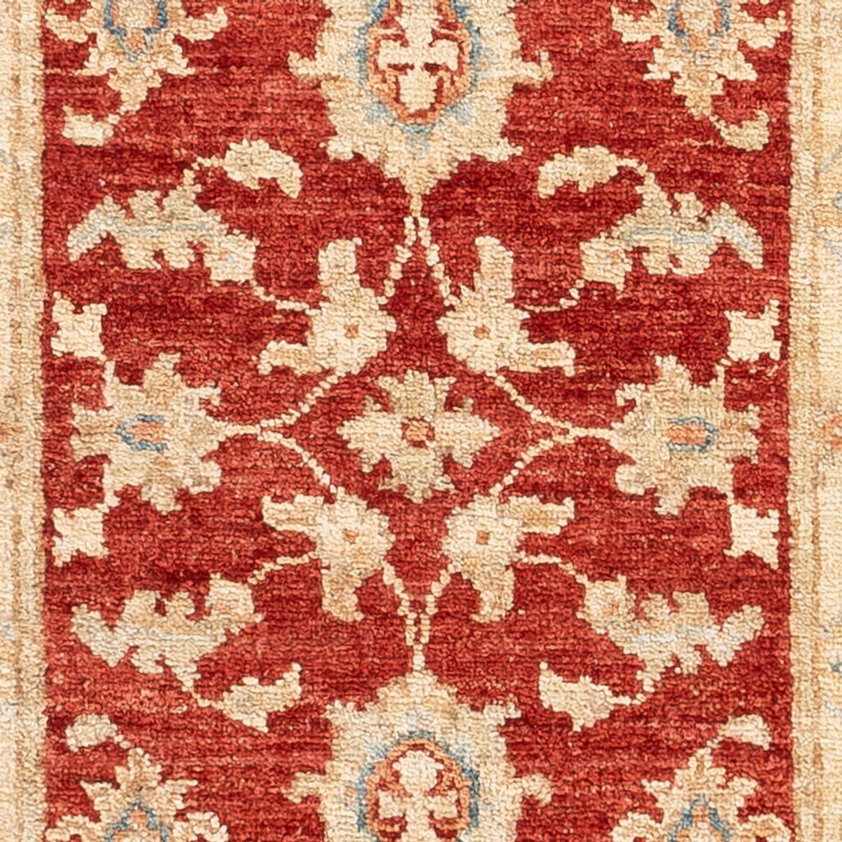 Løber Ziegler Carpet - 148 x 50 cm - rød