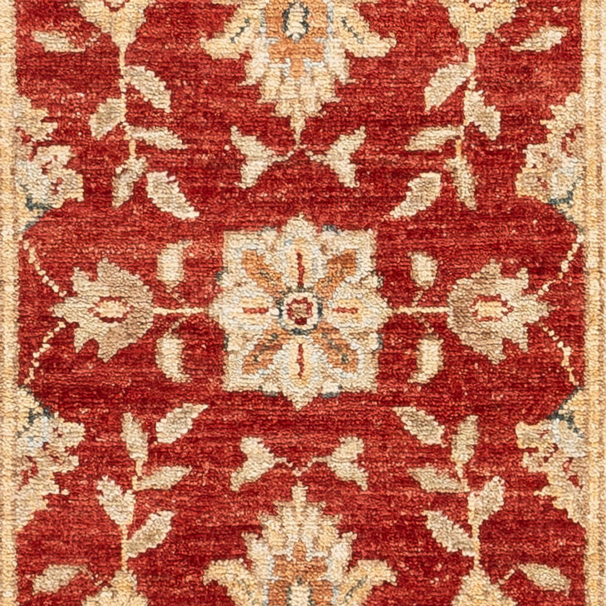 Løber Ziegler Carpet - 148 x 51 cm - rød