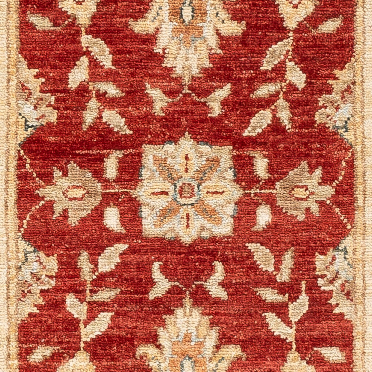 Løber Ziegler Carpet - 148 x 50 cm - rød