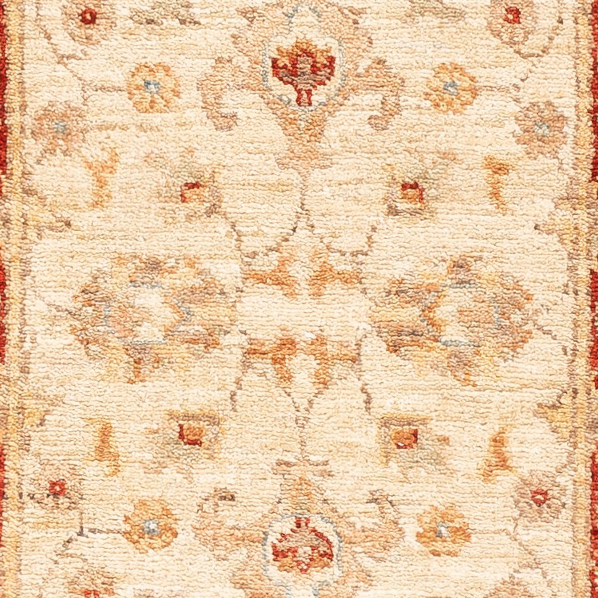Løber Ziegler Carpet - 145 x 52 cm - beige