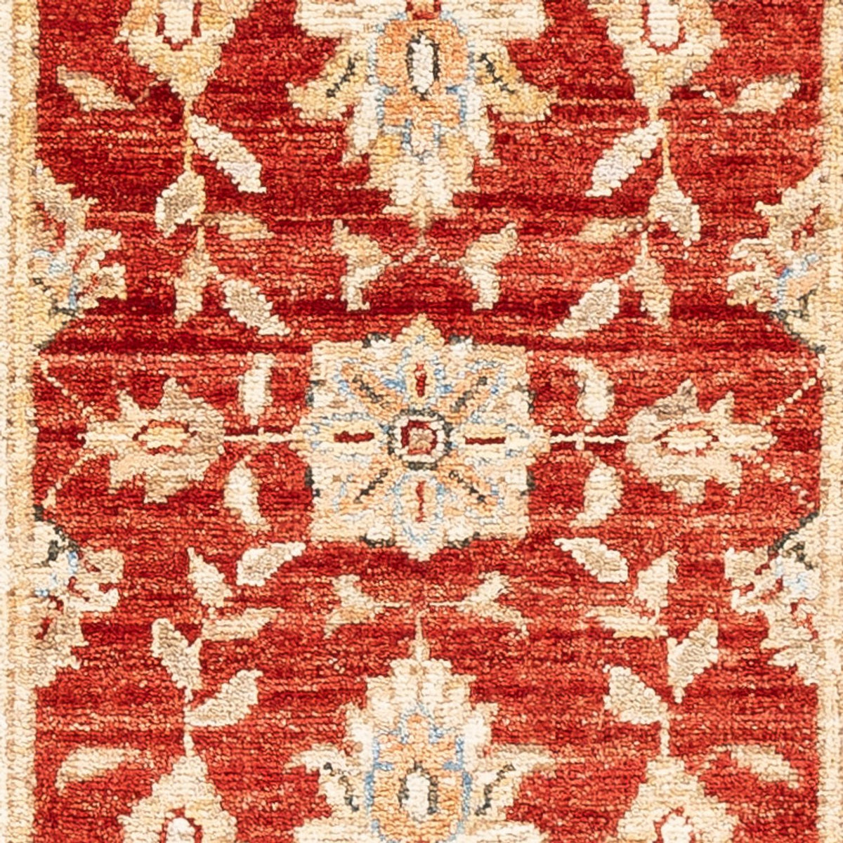 Løber Ziegler Carpet - 148 x 53 cm - rød