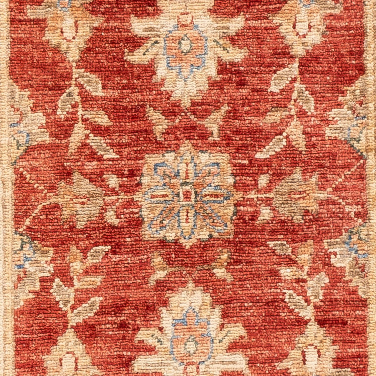 Løber Ziegler Carpet - 147 x 51 cm - rød