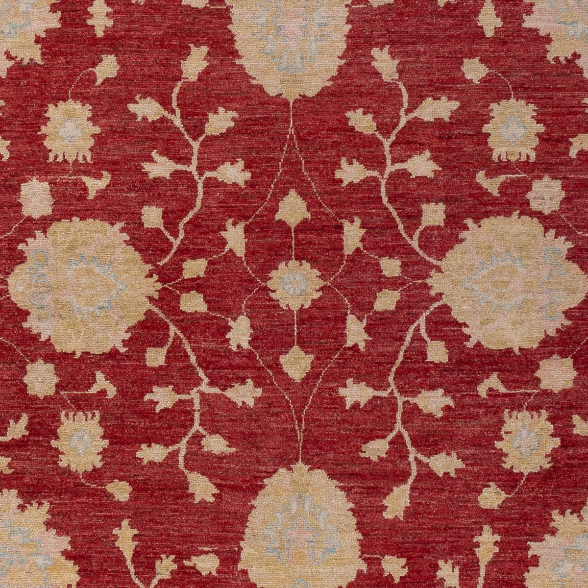 Ziegler Carpet - 300 x 205 cm - mørkerød