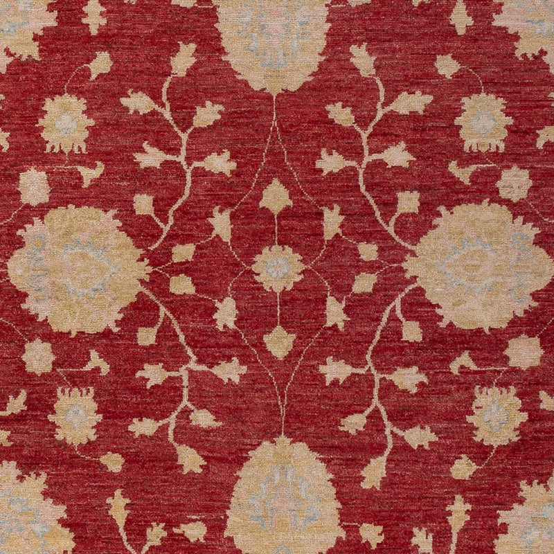 Ziegler Carpet - 300 x 205 cm - mørkerød