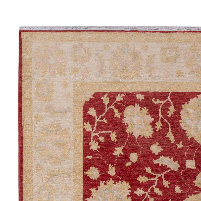 Ziegler Carpet - 300 x 205 cm - mørkerød