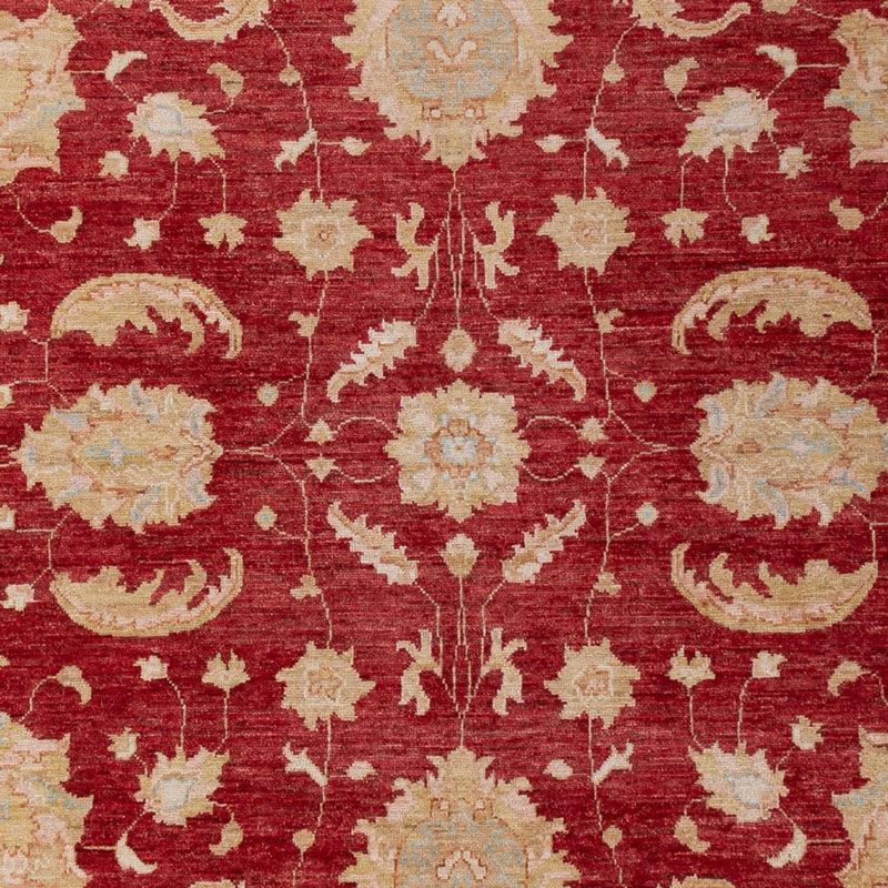 Ziegler Carpet - 303 x 204 cm - mørkerød