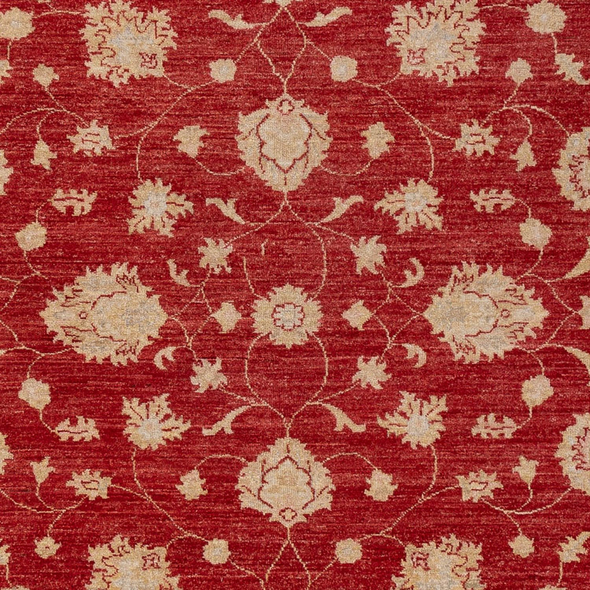 Ziegler Carpet - 298 x 210 cm - rød