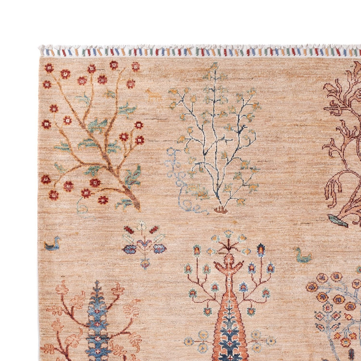 Ziegler Carpet - Ariana - 293 x 206 cm - beige